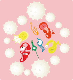 immune system